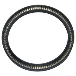 Kabòn Plen PTFE Spring Energized Seals