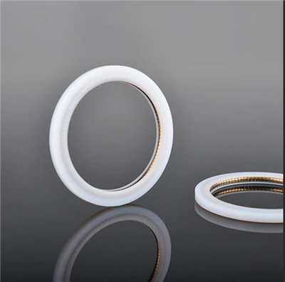 Segondè Kalite PTFE Spring Energized Seals