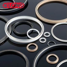 Glass Fib plen PTFE prentan Enejik Sele