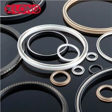 Ponp idwolik Tflon Spring Energized Bouche