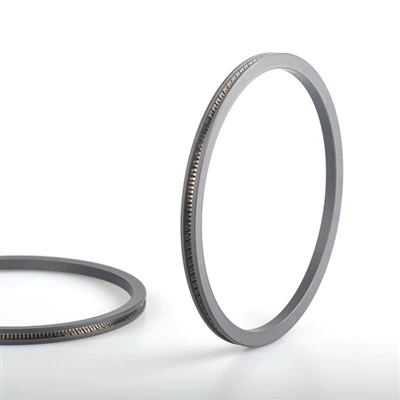 V Forme Spring Energized Seal